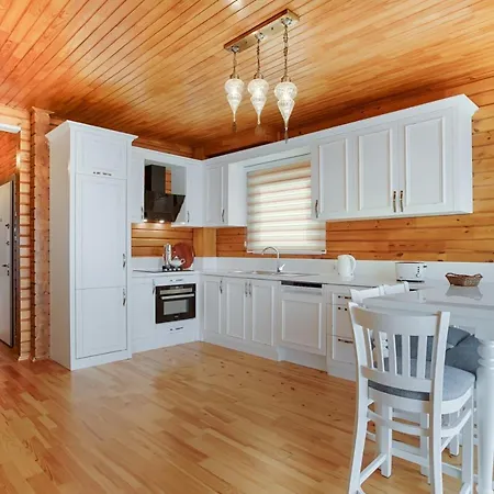 Zeytin By Lucida Villas Villa *